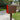NEW! The UpTown Box Locking Package Dropbox  in COCONUT - Modern Mailbox