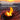City Bonfire - 10 Pack - Mammoth Nation