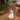 City Bonfire - USA Limited Edition - Mammoth Nation