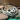 Cathedral Celtic Knot Brooch - Handmade in Scotland