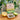 Lemon Lime Moringa Green Tea