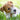 3 oz Small Pet Dental Sticks (10 Sticks)