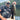 Pillhead Compact Jig - Mammoth Nation