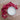 Pomegranate | Infused Lip Balm | Natural Lip Care