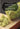 Wasabi Salt: WAS-AB-HAPPENIN - Mammoth Nation