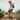 Dominate Training Shorts - Stone