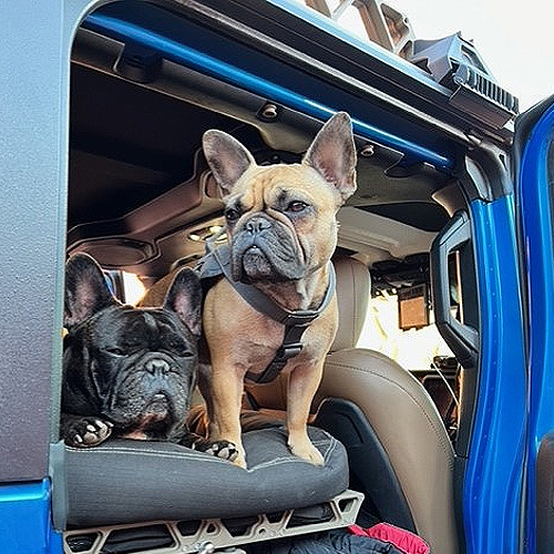 CMM Offroad Discount Code Get 15 Off Mammoth Nation