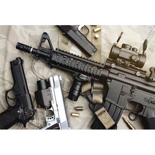 The Gun Man Show 10% Off - Mammoth Nation Members get great Discounts ...